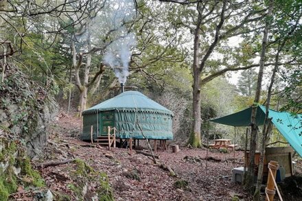 Magical Woodland Yurt with stunning mountain and estuary views