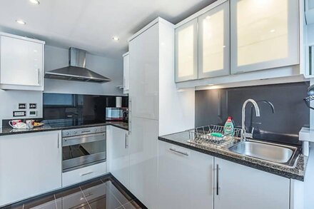 Cosy and comfortable 2 bedroom apartment in Canary Wharf with river view