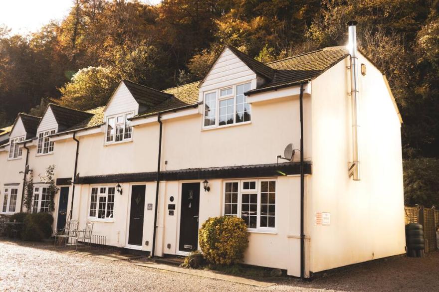 Picturesque Cottage In Symonds Yat - Dogs stay free + no charge for fire wood!