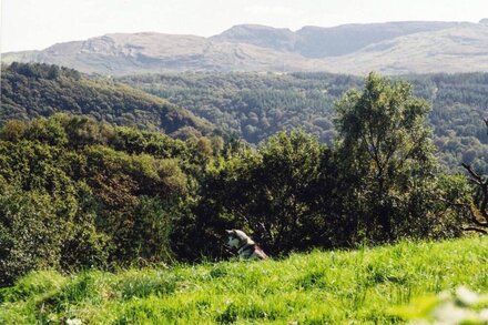 Secluded Cottage in Heart of the Snowdonia National Park