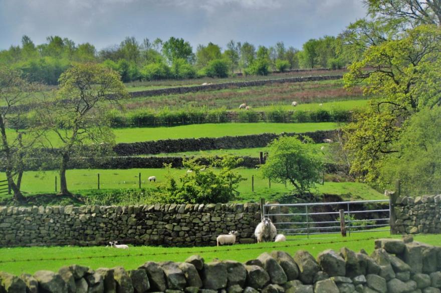 Peak District cottage, lovingly converted, peaceful, luxurious, family-friendly