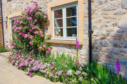 Peaceful, scenic,cosy cottage near Wells and Frome