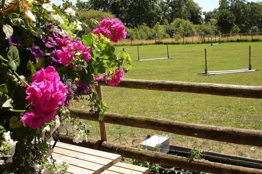 Unique Self Catering Dairy Conversion Situated On A New Forest Farm