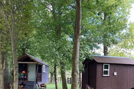 Unique Shepherds hut retreat in a beautiful farm setting close to cambridge