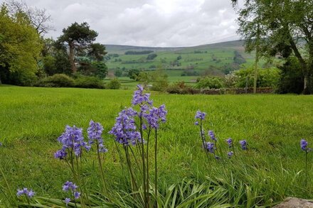 Large Stone Cottage In Mature South Facing Garden Enjoying Stunning Views