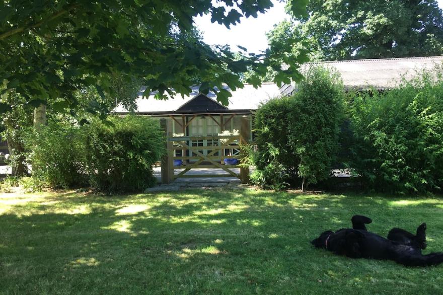 Studio Barn In The New Forest