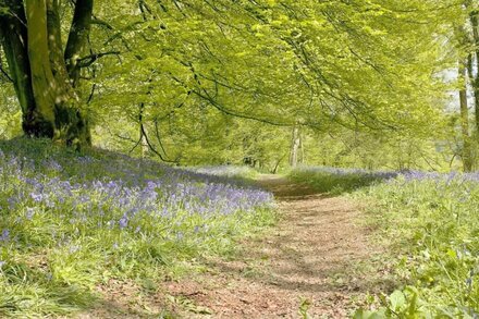 Ciderhouse Cottage located between Wye Valley & Black Mts with stunning views