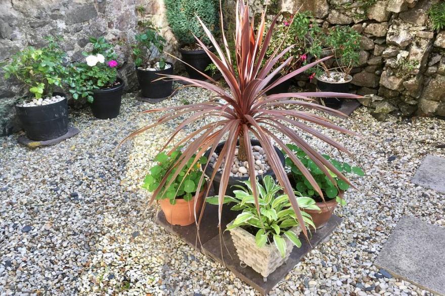 30 Chapel St, Caernarfon. Ground Floor With Garden