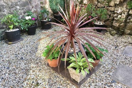 30 Chapel St, Caernarfon. Ground floor with garden