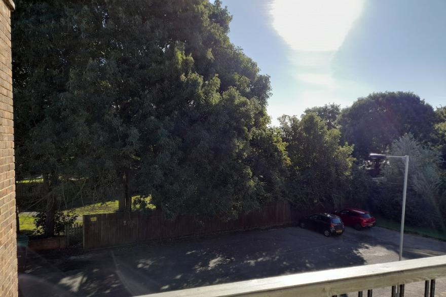 Whole Apartment with Balcony, Breakfast & Parking
