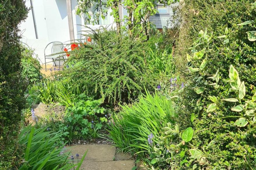Period 3 bedroom cottage in the heart of Appledore, Devon - sleeps 4