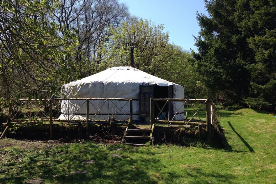 Mongolian Yurt In Idyllic And Totally Private Setting On Dartmoor