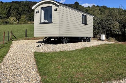 Delightful Shepherd's Hut with Log Burner and Outside Bath