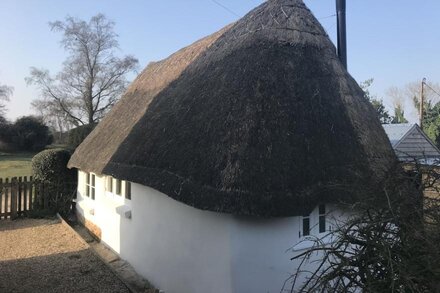 Romantic cottage  in the heart of the New Forest, perfect for walkers.