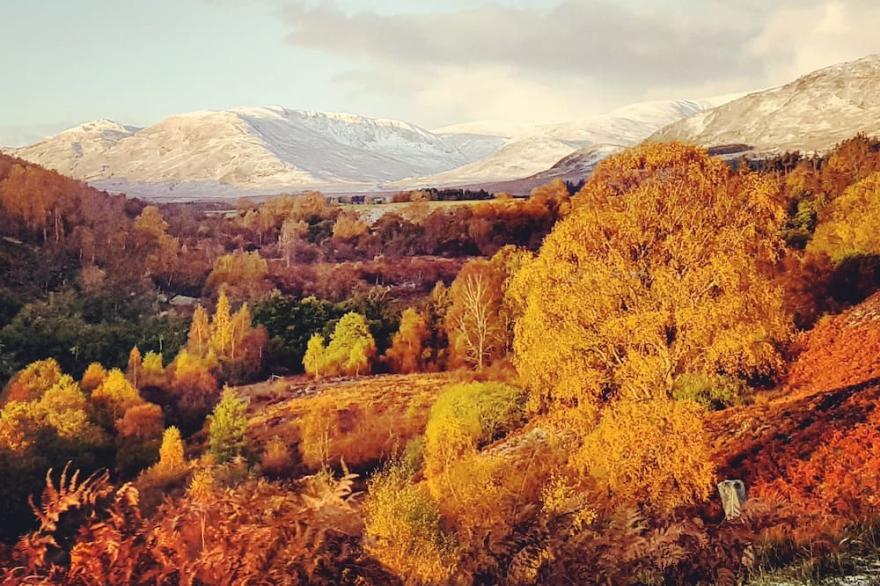 Charming & Cosy Cairngorms Retreat For 2 - The Bakehouse, Newtonmore