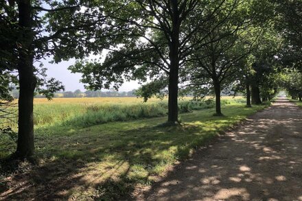 Peace and quiet in the heart of the Suffolk countryside.