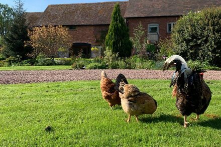 5*Gold One bed near Ludlow, The Granary