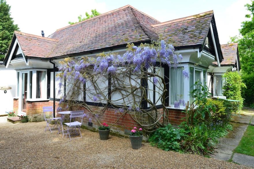 Pinewood 3 - Comfort Double Room