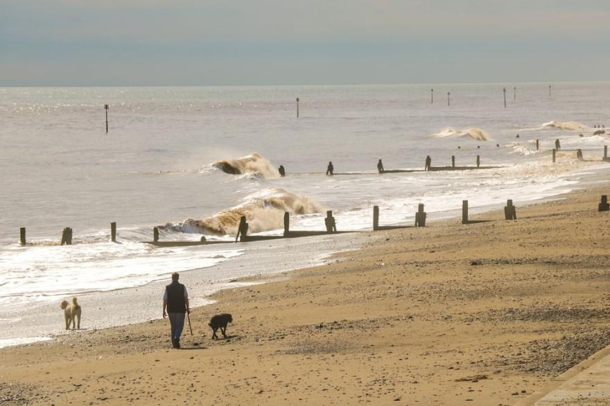 DRIFTWOOD, Pet Friendly, Country Holiday Cottage In Withernsea