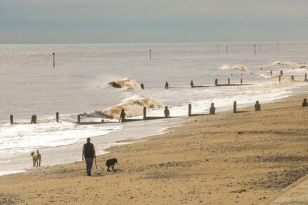 DRIFTWOOD, pet friendly, country holiday cottage in Withernsea