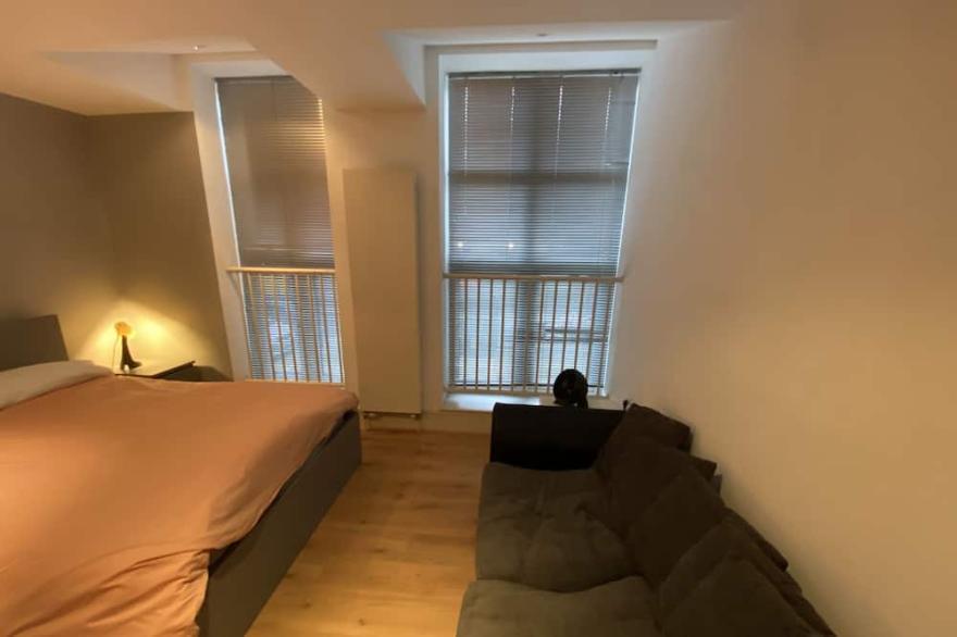 Luxury City Apartment