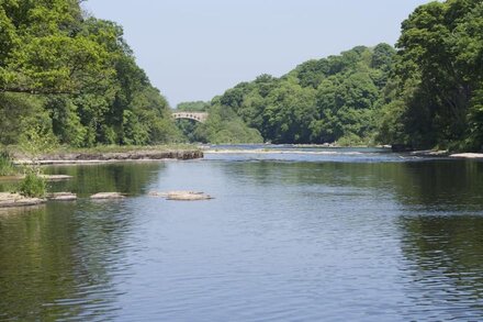 Buttercup Lodge , Lovely family/pet friendly by River Tees, near Barnard Castle