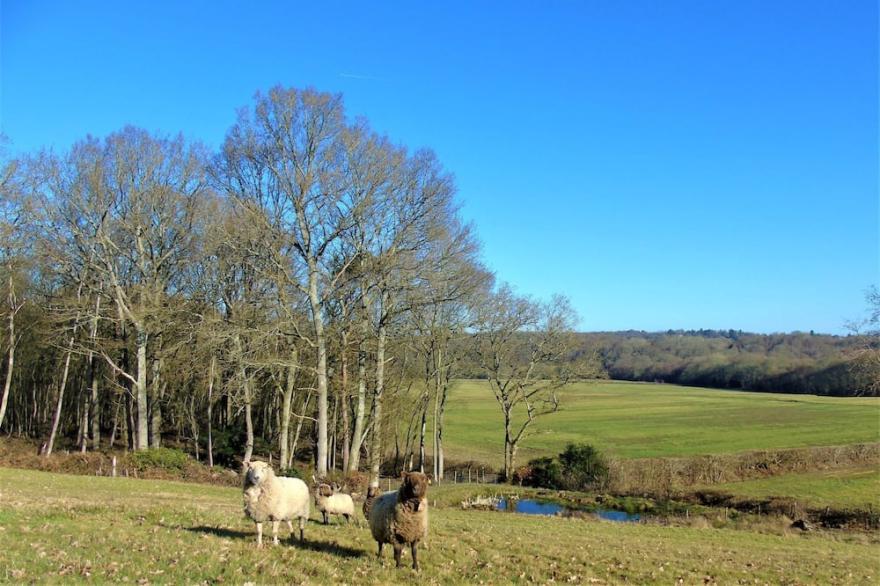 Rural Retreat with glorious views, I hour from London.  4* Gold Visit England