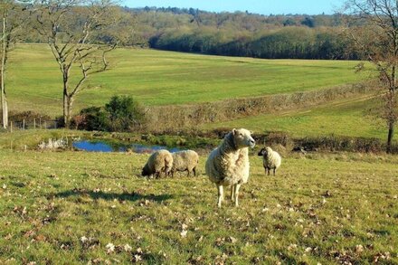 Rural Retreat with glorious views, I hour from London.  4* Gold Visit England