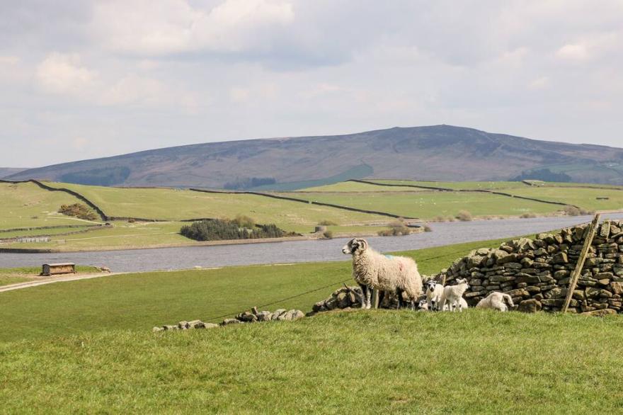 LOCK VIEW, pet friendly, luxury holiday cottage in Gargrave