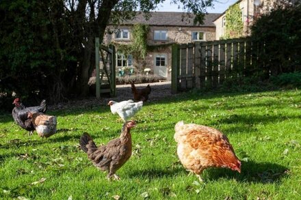 ANVIL COTTAGE - dog friendly cottage set in the rolling North Yorkshire Hills