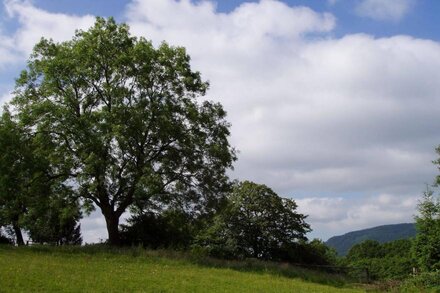 LLWYNAU FARM PINELODGES - CASTELLAU, LLANTRISANT -  ONLY 12 MILES FROM CARDIFF.