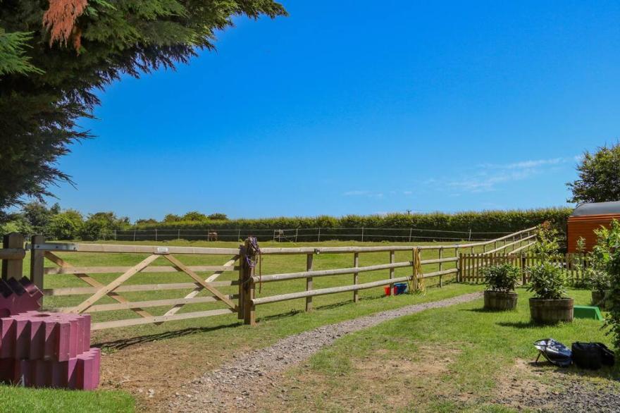 FILBERT POD, pet friendly, with hot tub in Arundel, West Sussex