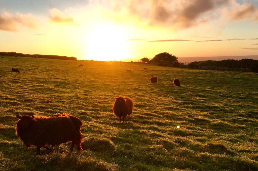 Church Haye-Cosy and relaxing holiday home in Dartmoor National Park