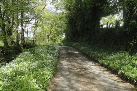 Family Friendly Cottage, near Port Issac and North Cornwall Beaches