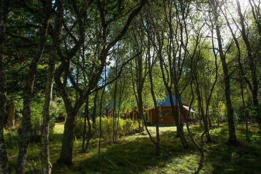 Secluded woodland cottage on the banks of a pristine Highland river