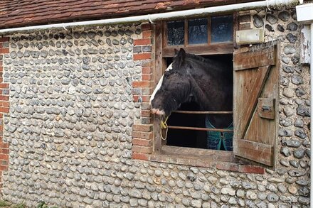 Entire Guest House. Cosy, self contained & rural.