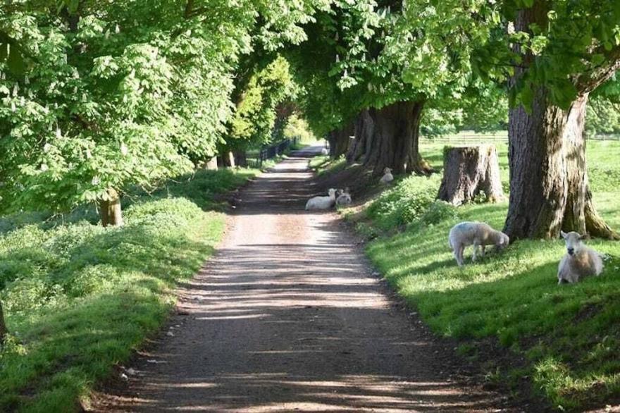 New Wool Store Cosy Cottage For Two Cotswold escape at Mic