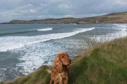 Beautiful 3-Bed Cabin in Pembrokeshire Coast