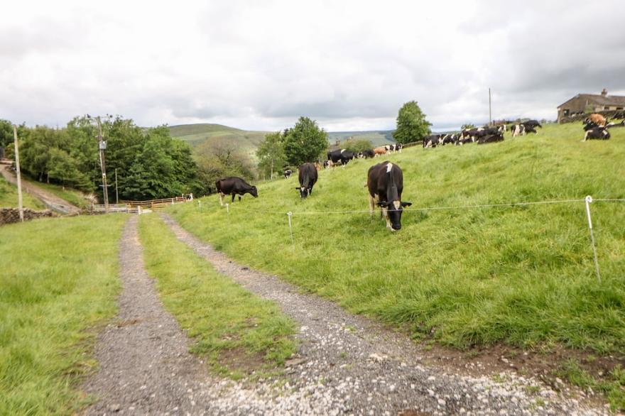 BROOKSIDE, family friendly, character holiday cottage in Hayfield