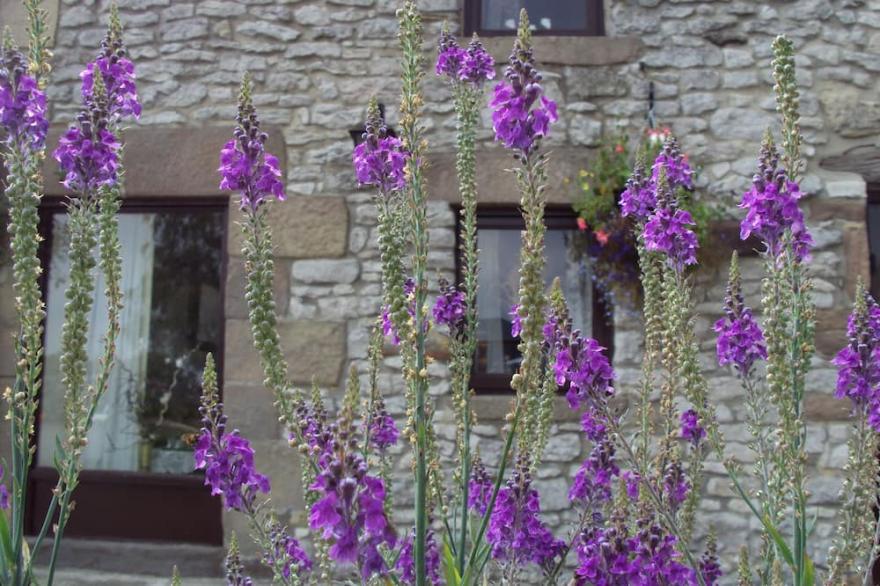 Lovely limestone cottage in the heart of the Peak District.