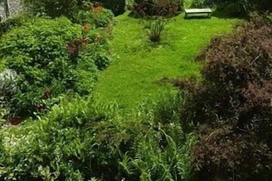 C16th House With A Rambling Garden In A Hamlet In The Dartmoor National Park