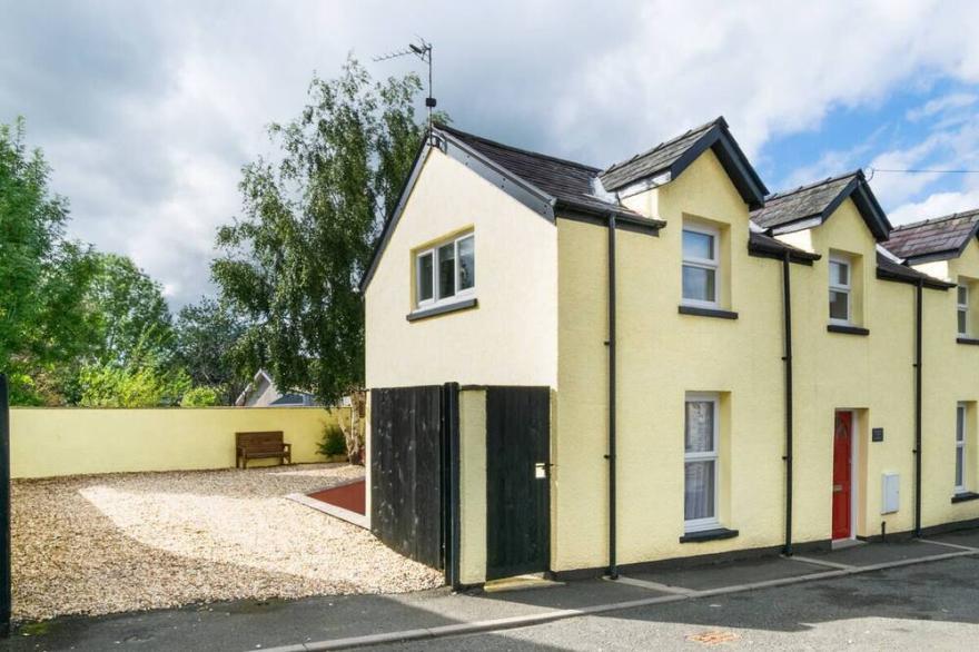 Bedwen Arian in Llandovery