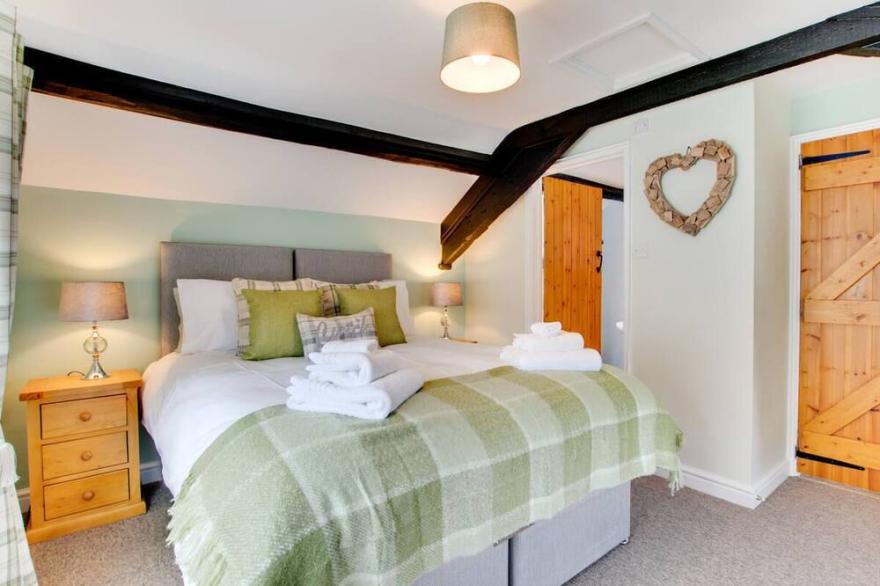 Bedwen Arian in Llandovery