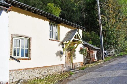 Cosy Character Holiday Cottage in Dorset Village