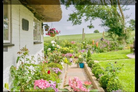 Detached thatched cottage sleeping 2- 6 with its own luxurious hot tub