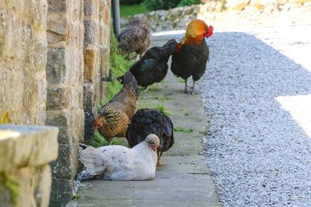 THE BARN, luxury holiday cottage, with a garden in Pateley Bridge