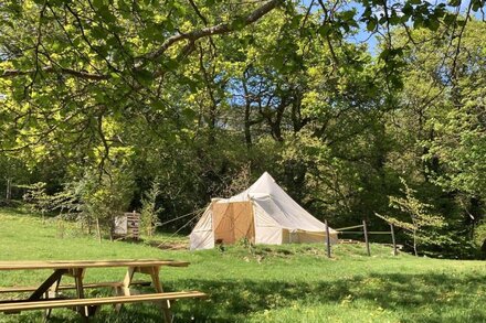 Remote Cabin & 3 Giant Tents Retreat