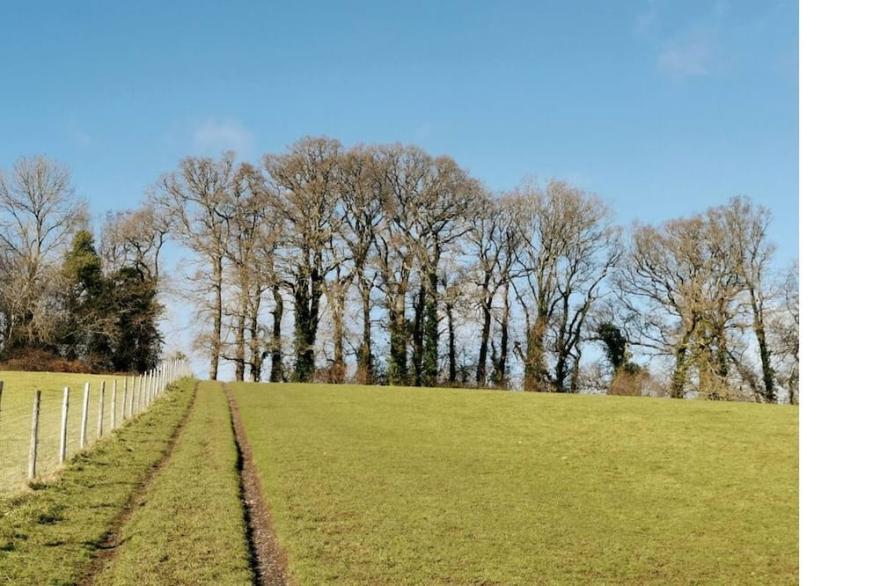 Romantic cottage for two, Dartmoor and SW coast