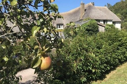 Thatched Devon longhouse, close to sea, with private indoor swimming pool.