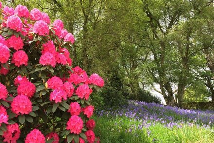 Beautiful rural Cottage on the outskirts of Rothbury, Sleeps 4 in comfort